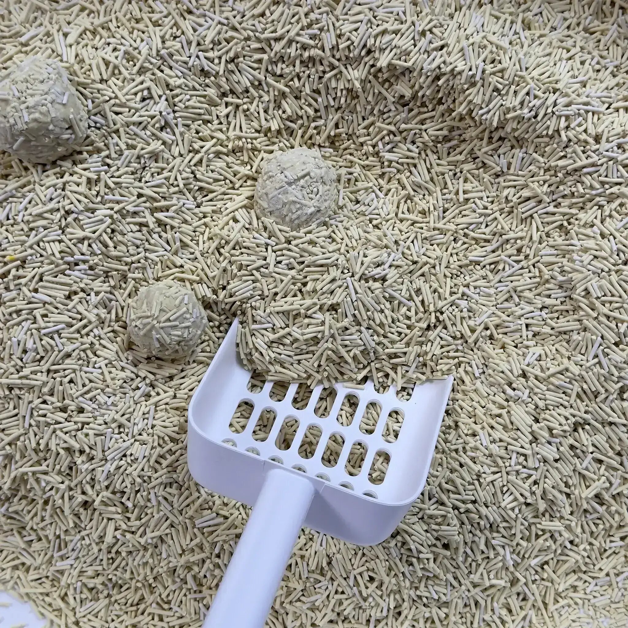 Advantages of Tofu Cat Litter
