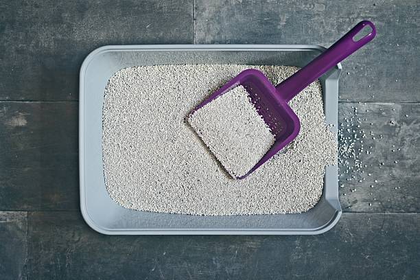 Does all cat litter have silica gel?