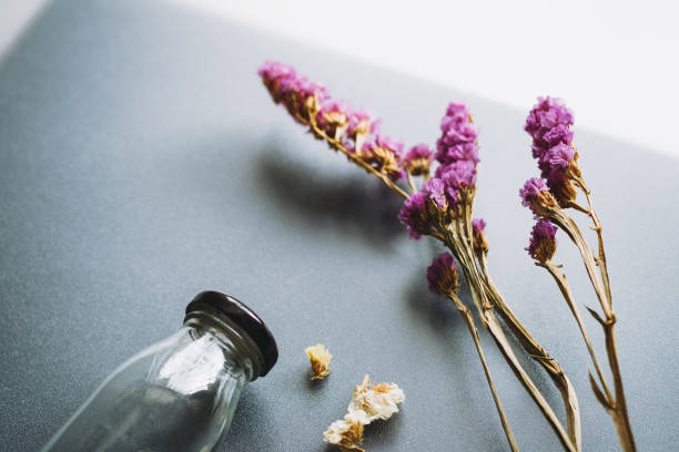 How long do silica gel‑dried flowers last? Can they be preserved forever?