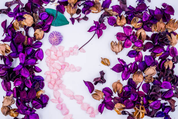 How much silica gel do I need to dry flowers?