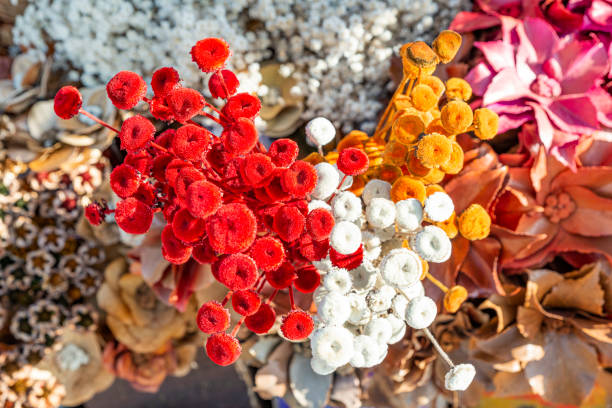 How to preserve flowers in epoxy resin without silica gel?