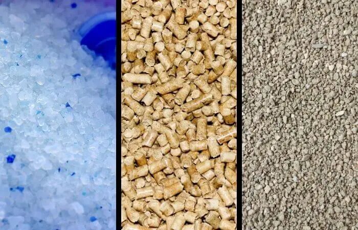 Silica Cat Litter Types