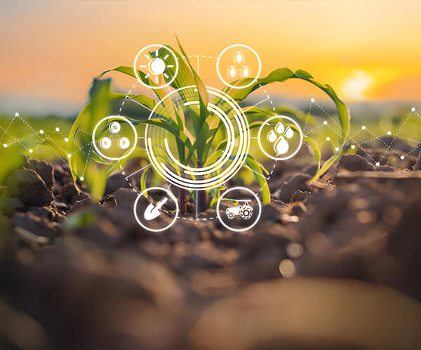 Bouling Desiccants - Social Responsibility